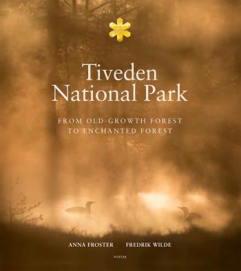 Tiveden National Park - From Old-growth Forest To Enchanted Forest
