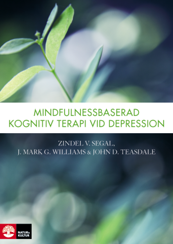 Mindfulnessbaserad Kognitiv Terapi Vid Depression