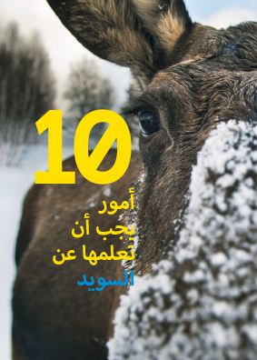 10 Things To Know About Sweden- Arabiska 5-pack