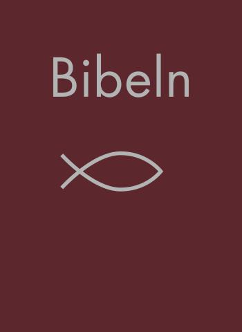 Bibeln Vinröd - Bibelkommissionens Översättning - Noter, Parallellhänvisningar, Uppslagsdel