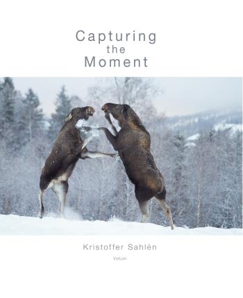 Capturing The Moment