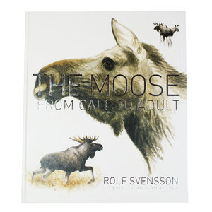 The Moose - From Calf To Adult