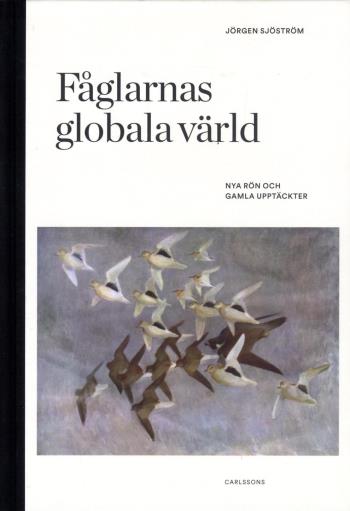 Fåglarnas Globala Värld - Nya Rön Och Gammal Kunskap