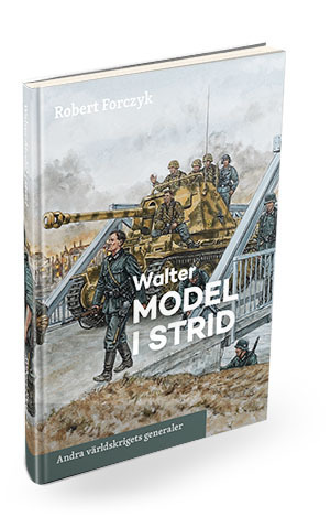Walter Model I Strid