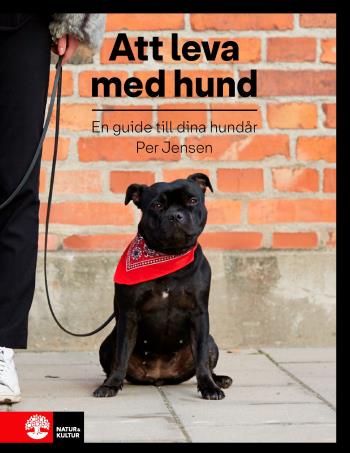Att Leva Med Hund - En Guide Till Dina Hundår