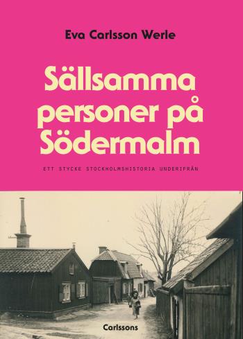 Sällsamma Personer På Södermalm - Ett Stycke Stockholmshistoria Underifrån