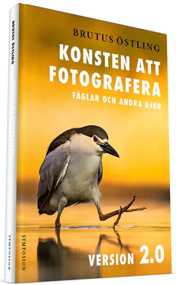 Konsten Att Fotografera Fåglar Och Andra Djur - Version 2.0
