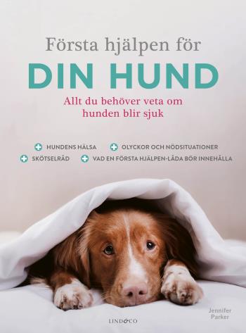 Första Hjälpen För Din Hund - Allt Du Behöver Veta Om Hunden Blir Sjuk