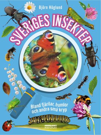 Sveriges Insekter -  Bland Fjärilar, Humlor Och Andra Små Kryp