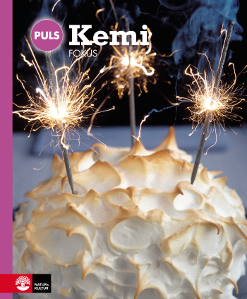 Puls Kemi 7-9 Fokus, Fjärde Upplagan