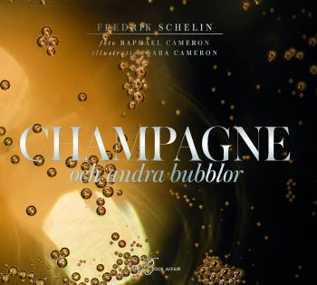 Champagne Och Andra Bubblor