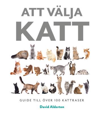 Att Välja Katt- Guide Till Över 100 Kattraser