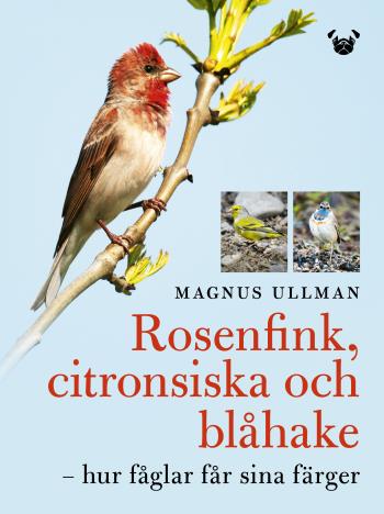 Rosenfink, Citronsiska Och Blåhake - Hur Fåglar Får Sina Färger