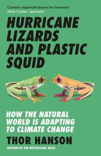 Hurricane Lizards And Plastic Squid