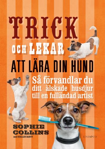 Trick Och Lekar Att Lära Din Hund - Så Förvandlar Du Ditt Älskade Husdjur..