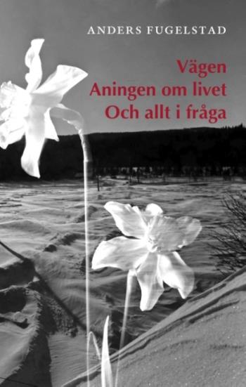 Vägen Aningen Om Livet Och Allt I Fråga