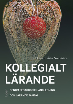 Kollegialt Lärande
