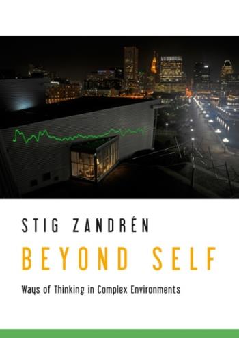 Beyond Self - Ways Of Thinking In Complex Environments