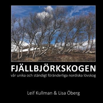 Fjällbjörkskogen - Vår Unika Och Ständigt Föränderliga Nordiska Lövskog