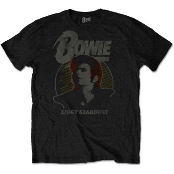 David Bowie: Unisex T-Shirt/Vintage Ziggy (Medium)