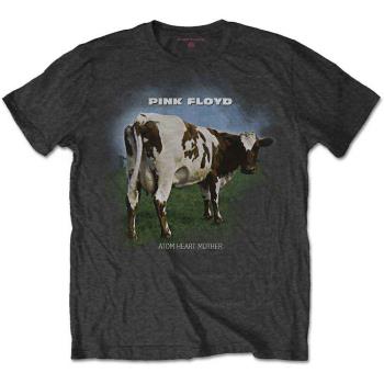 Pink Floyd: Unisex T-Shirt/Atom Heart Mother Fade (X-Large)