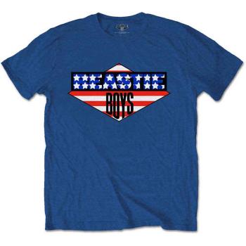 The Beastie Boys: Unisex T-Shirt/American Flag (X-Large)