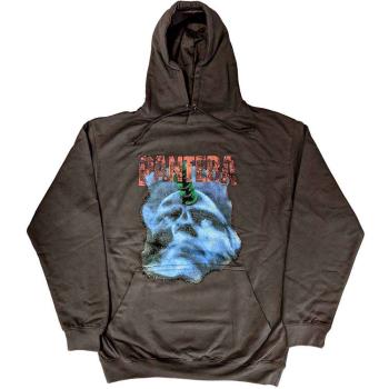 Pantera: Unisex Pullover Hoodie/Far Beyond Driven World Tour (Medium)