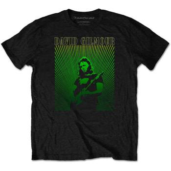 David Gilmour: Unisex T-Shirt/Rays Gradient (Medium)