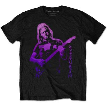 David Gilmour: Unisex T-Shirt/Pig Gradient (Small)