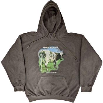 Pink Floyd: Unisex Pullover Hoodie/Atom Heart Mother Fade (X-Small)