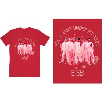 Backstreet Boys: Unisex T-Shirt/All I Want Xmas (Large)