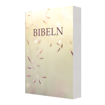 Bibeln Sfb 2015, Kompakt Pocket, Äng