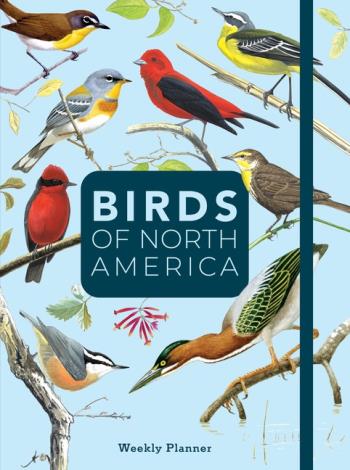 Birds Of North America