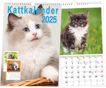 Kattkalender 2025