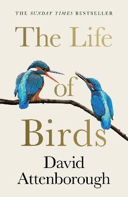 The Life Of Birds