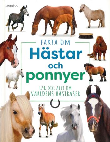 Fakta Om Hästar Och Ponnyer - Lär Dig Allt Om Världens Hästraser