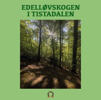 Edelelløvskogen I Tistadalen