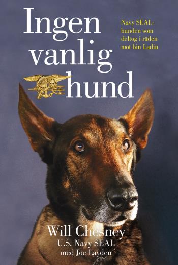 Ingen Vanlig Hund