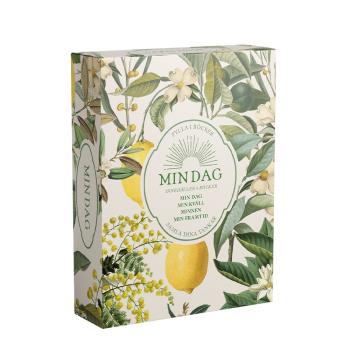Min Dag- Min Dag, Min Kväll, Minnen, Min Framtid