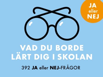 Vad Du Borde Lärt Dig I Skolan - 392 Ja Eller Nej-frågor