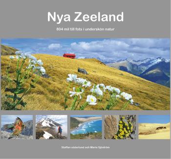 Nya Zeeland - 804 Mil Till Fots I Underskön Natur