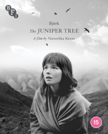 Juniper Tree. The