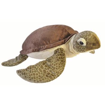 CK JUMBO SEA TURTLE 74 CM