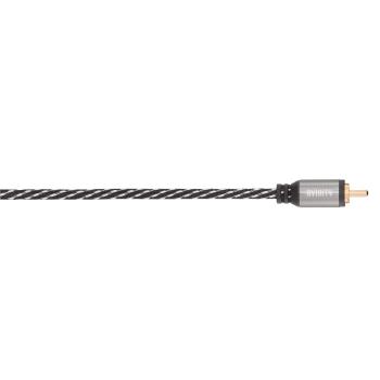 AVINITY CLASSIC Kabel Subwoofer Inkl Y-Adapter RCA Guld 3m