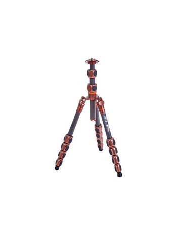 Pro 2.0 Leo Bronze